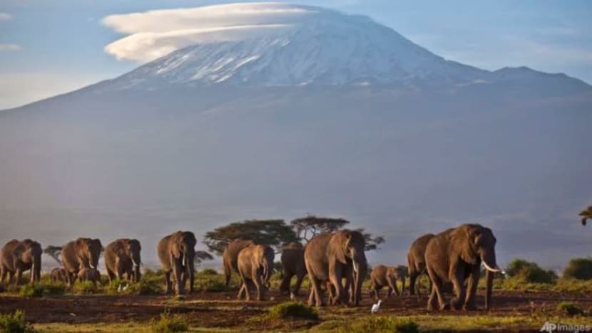 Warga SG maut ketika daki Gunung Kilimanjaro kelihatan sihat setelah kembali ke tapak kem: Pengendali pelancong tempatan
