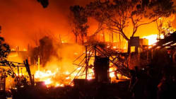 Related article image