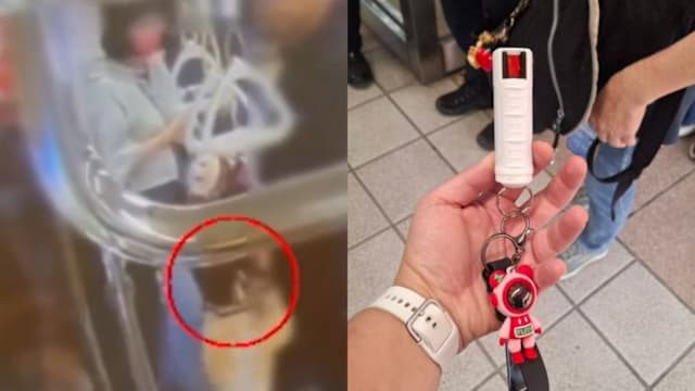 台北捷运误喷辣椒水 涉事女旅客被罚款