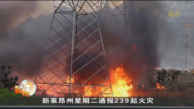 美国东海岸发布龙卷风警报 中西部面临暴风雪威胁