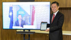Related article image
