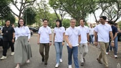 Related article image
