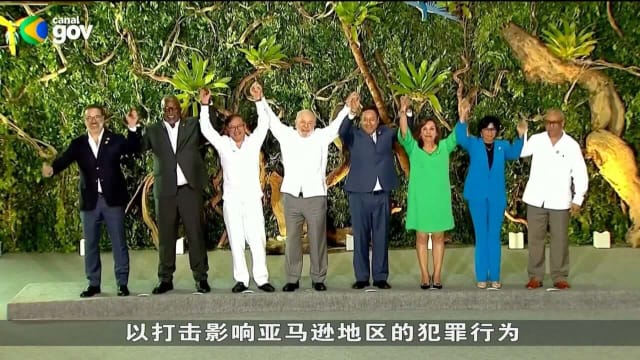 亚马逊峰会上八国未能就结束森林砍伐达成共识