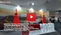 China highlights green achievements at COP30 side session