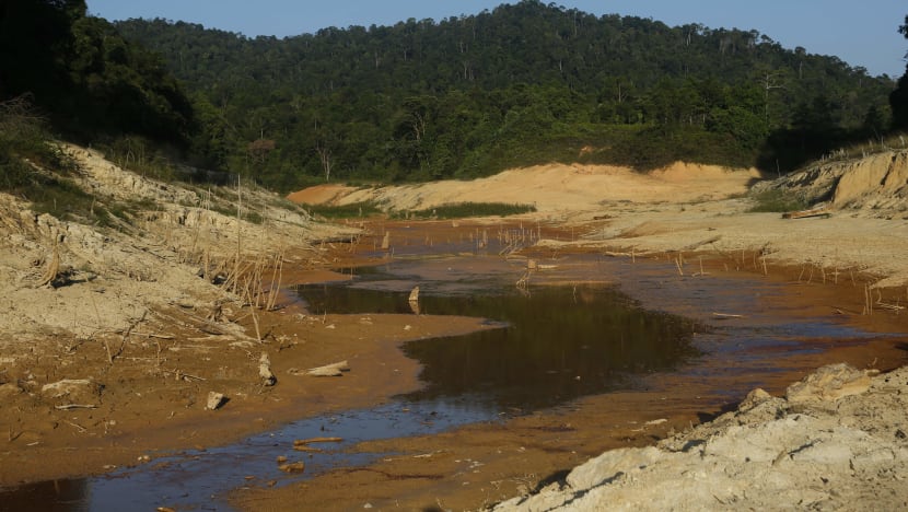Water level at Linggiu Reservoir at 30.8% after recent rains: PUB
