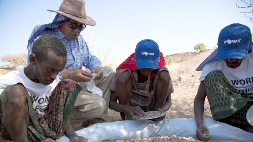 Scientists solve the mystery of the prehistoric 'Burtele Foot'