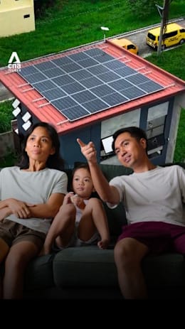 Solar cut their bill by 90% — but changed their daily routine