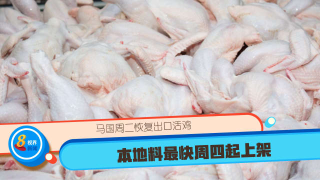 马国周二恢复出口活鸡 本地料最快周四起上架