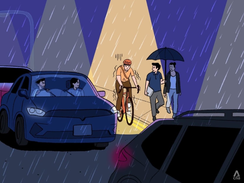 Can cycling be a preferred transport choice and way of life in Singapore?