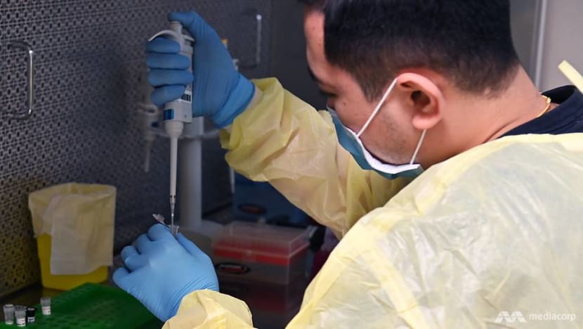 ‘We can’t afford to make any mistake’: Inside a COVID-19 testing lab in Singapore ‘We can’t afford to make any mistake’: Inside a COVID-19 testing lab in Singapore