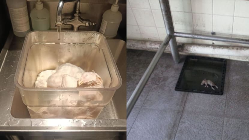 Manpower shortage a major reason behind food safety lapses as demand for catering surges Manpower shortage a major reason behind food safety lapses as demand for catering surges