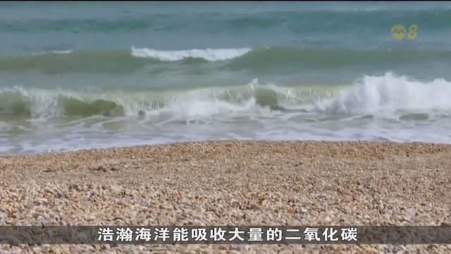 英国科学家展开海洋碳吸收试验 让海洋能重新吸收更多大气中二氧化碳