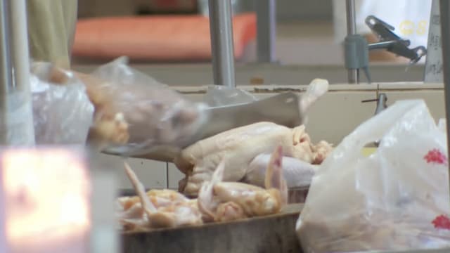 鸡鸭出入口商：原料成本上涨 肉鸡价格短期难回过去水平