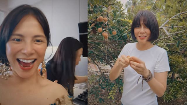 不见老公小孩身影，李心洁疑独自回马来西亚娘家过年