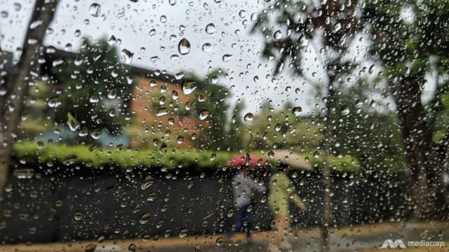 本地接下来两周 将迎更多雷雨天气