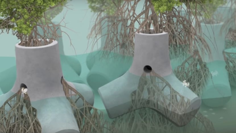 Fighting rising sea levels: 5 approaches from around the world