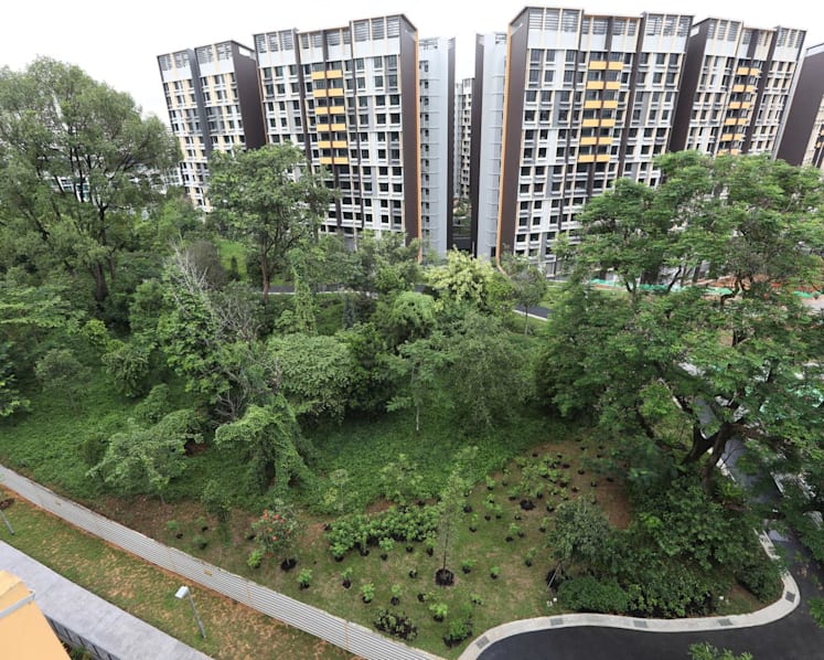 More than 70% of Bidadari estate completed, remainder set for completion by 2025