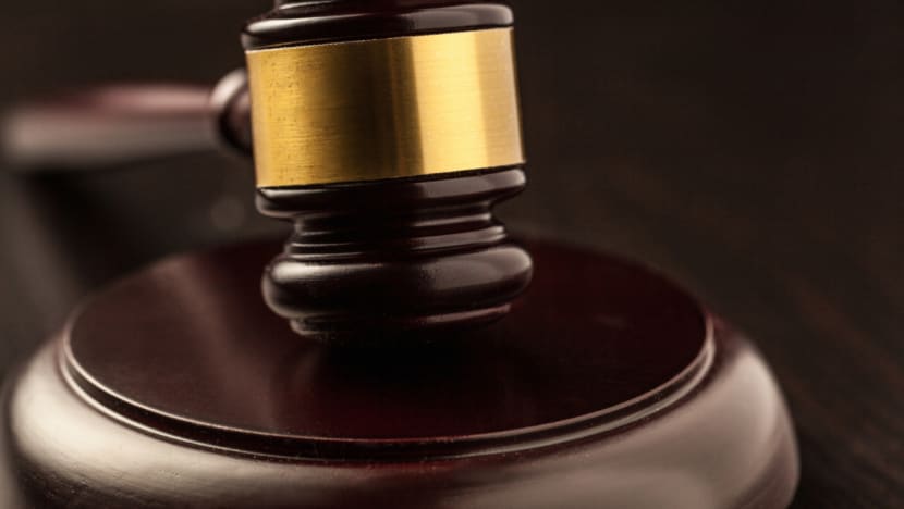 Dog owner fined for fighting with man who asked him to move his pets at HDB lift lobby