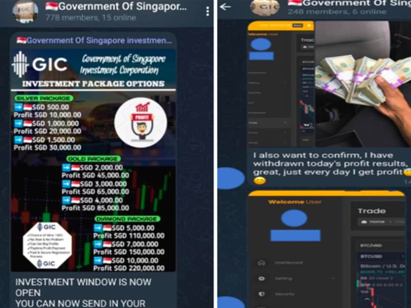 Screenshots of some of the material in an investment scam shared on messaging service Telegram.