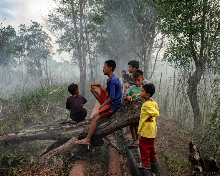 Nearly 60% drop in fire hotspots this year compared to 2023: Indonesian official