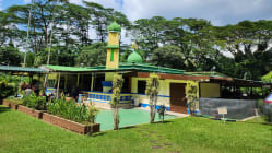 Related article image