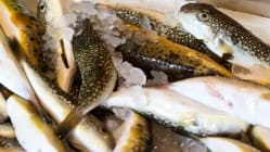 Related article image