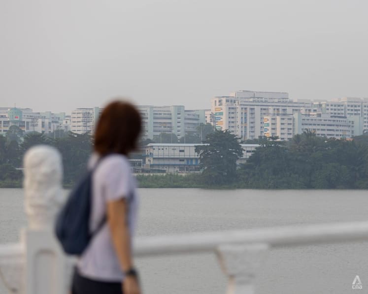 Singapore air quality improves to moderate range after unhealthy readings Singapore air quality improves to moderate range after unhealthy readings