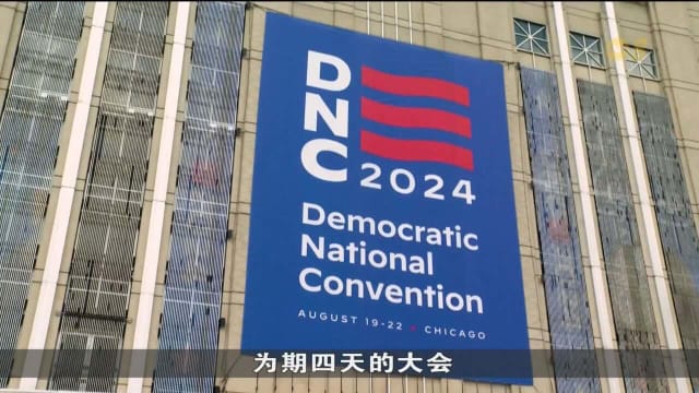 美国民主党将正式提名哈里斯和沃尔兹竞逐总统选举