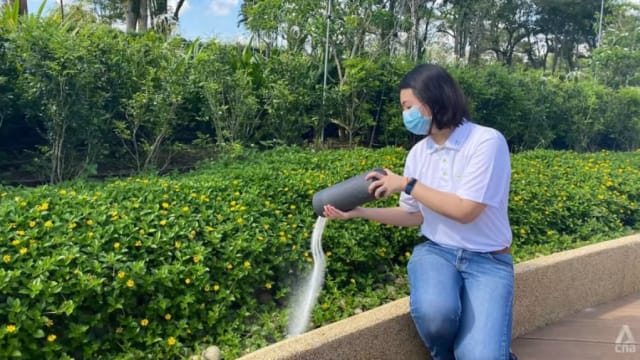 本地骨灰撒土安葬方式受欢迎 清心园启用后申请显著增加