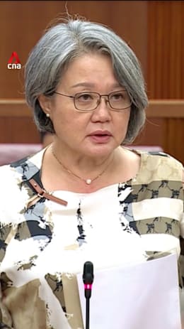  Sylvia Lim questions police stance on AI-generated images posted on porn sites