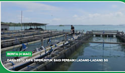 BERITA (4 Mac) | Dana S$70 juta diperuntuk bagi perbaiki ladang-ladang SG