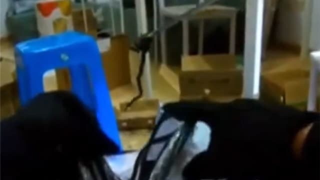 中国男子网购榴梿 打开箱子惊见一米长蛇
