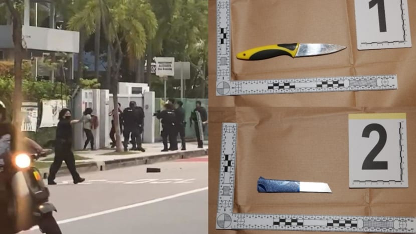 Woman, 53, who stabbed herself outside St Hilda's Secondary School to plead guilty to possessing weapons Woman, 53, who stabbed herself outside St Hilda's Secondary School to plead guilty to possessing weapons
