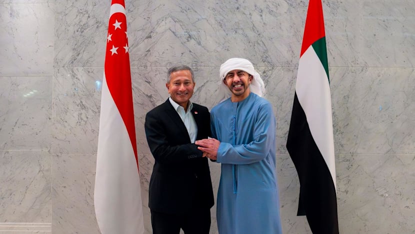 Singaporean Foreign Minister Balakrishnan Tours Gulf States — image 6