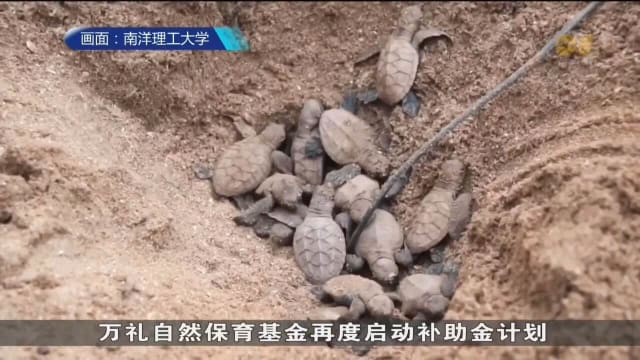 万礼自然保育基金再度启动补助金计划 希望防止动物面临威胁