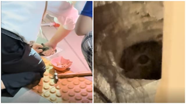 义顺居民齐心挖洞救猫　“义顺精神”感动网民