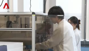 Bioeconomy sector: New S$118m initiative to fund industry initiatives over 5 years 