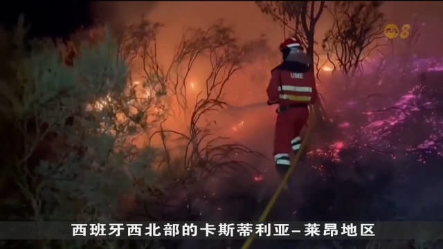  欧洲多国遭热浪侵袭