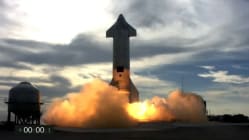 Related article image
