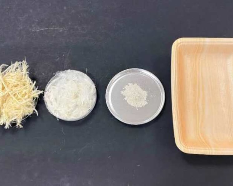Upcycling chicken feathers among efforts to create Singapore’s first 'zero waste' poultry processing facility