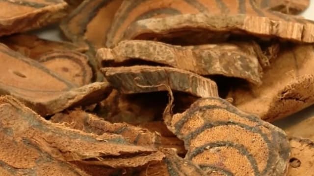 香港研究：中药鸡血藤提取物 可抑制和杀灭冠病病毒