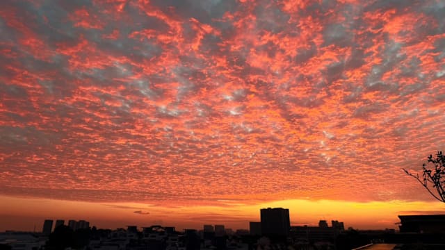 新加坡天际现“火烧云”和“咸蛋黄” 你有看到吗？