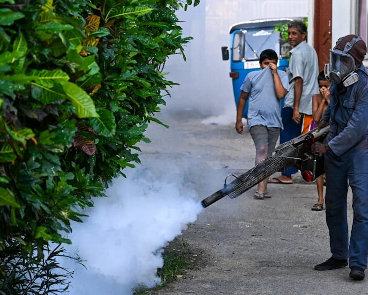 Sri Lanka expands anti-dengue drive as deaths mount