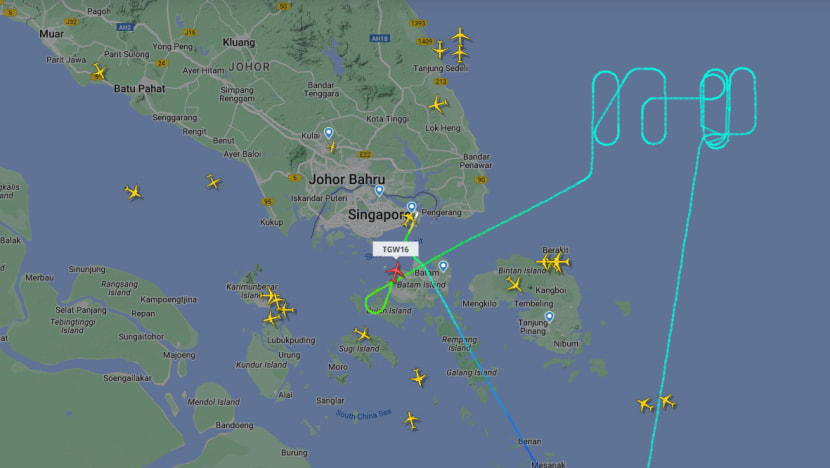 Scoot flight bound for Perth escorted back to Singapore due to bomb threat; passenger arrested