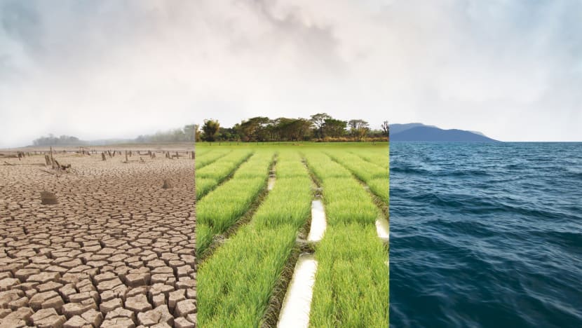 COP26: 10 reasons why it’s an important moment in the climate change fight
