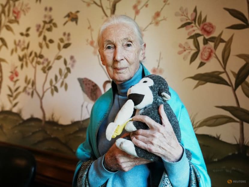 What Jane Goodall taught us about living a long life