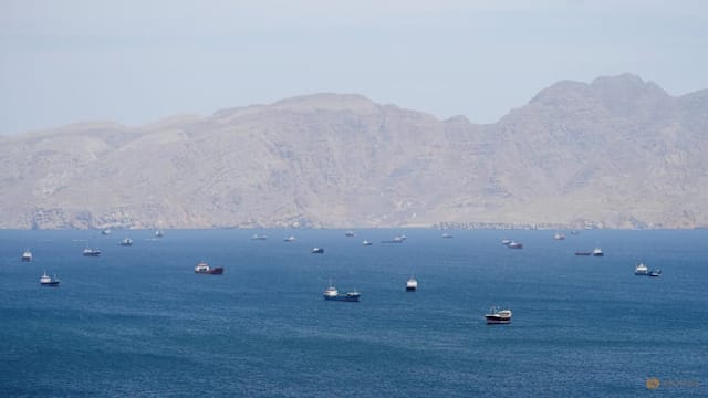 中国油轮霍尔木兹海峡入口处遇袭