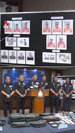 Johor police bust gangs linked to Desaru car break-ins involving Singapore vehicles