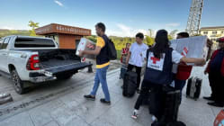 Related article image