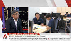 SNEF poll finds more than half of employers plan to freeze hiring despite improving business outlook